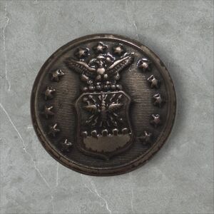 Vintage Waterbury US Air Force Uniform Button - Military Collectible